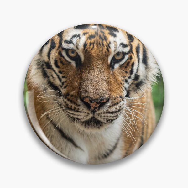 Artikelvorschau, Wildtiger entworfen und verkauft von newburyboutique.