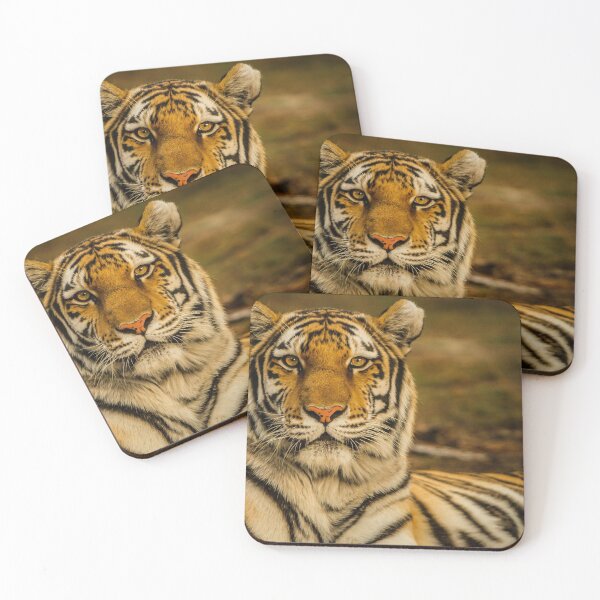 Item preview, Fierce Wild Tiger  designed and sold by newburyboutique.