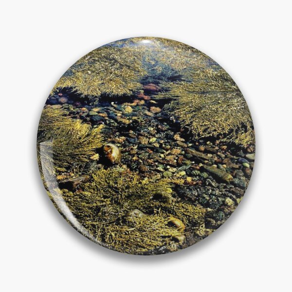 Item preview, Seaweed designed and sold by jennyfahfah88.