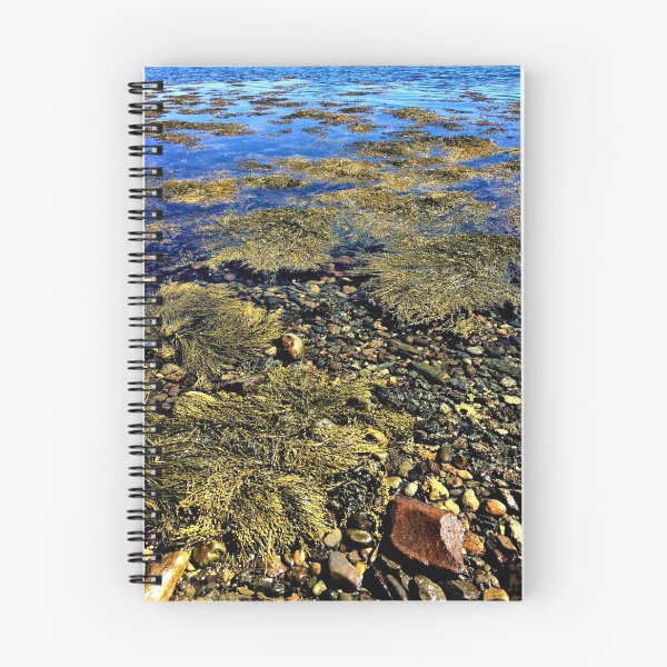 Item preview, Seaweed designed and sold by jennyfahfah88.