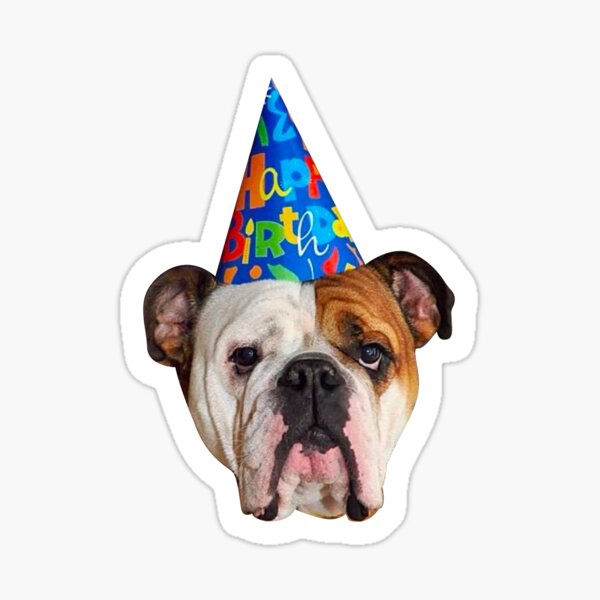 Produits Sur Le Theme Anniversaire Bulldog Anglais Redbubble