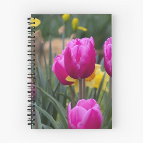 Item preview, BEAUTIFUL TULIPS AND JONQUILS designed and sold by Pauline Evans.