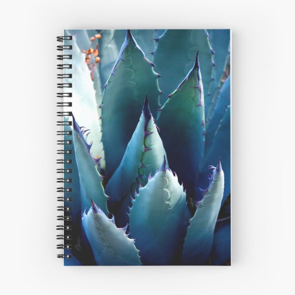 Item preview, Cactus suculento de agave azul designed and sold by TinyGinkgo.