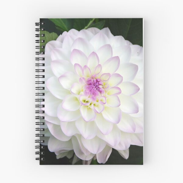 Item preview, White Dahlia Beauty designed and sold by Elzbieta Fazel.