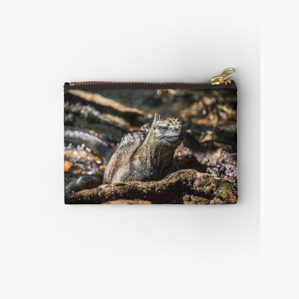 Item preview, Marine iguana among roots staring at camera designed and sold by Nick Dale Photography.