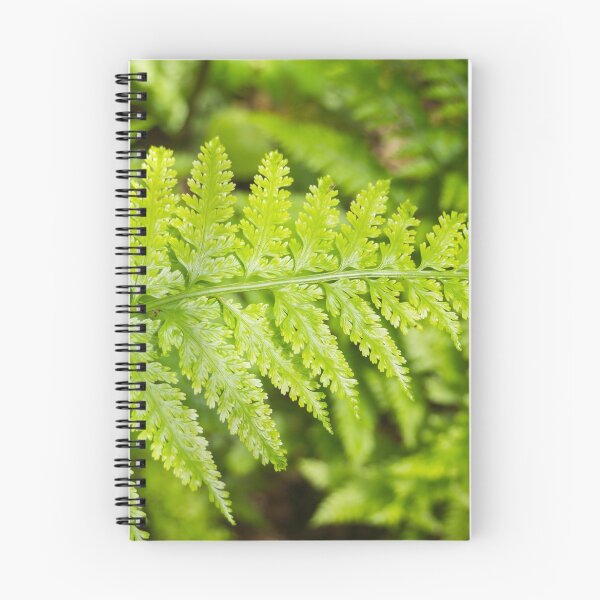 Item preview, fern designed and sold by Anne Scantlebury.