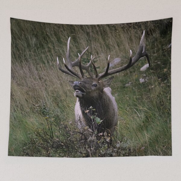 Item preview, Elk in Rutting Season designed and sold by JDWarren.