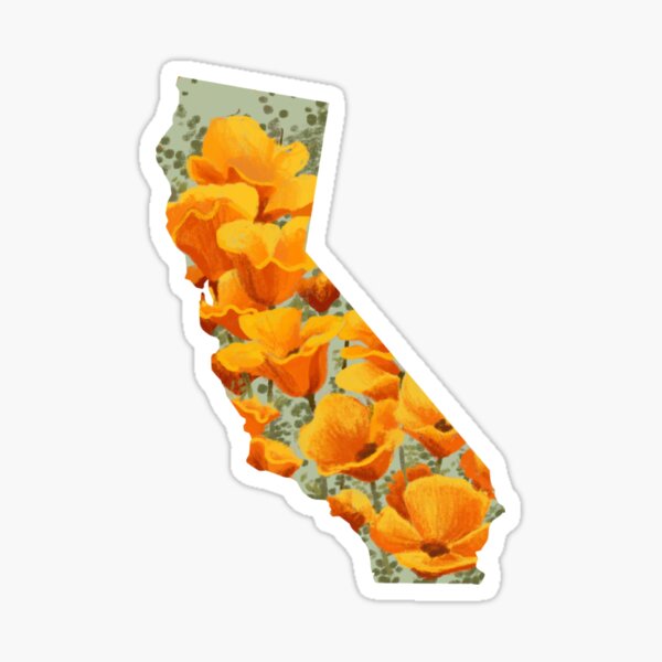 Item preview, California State Poppies designed and sold by Hannah Eberz.