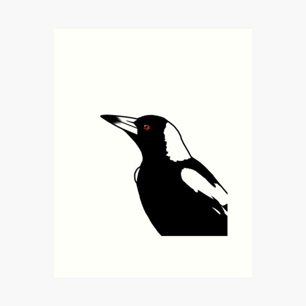 Item preview, Australian Magpie CloseUp - White designed and sold by Birds & Things.