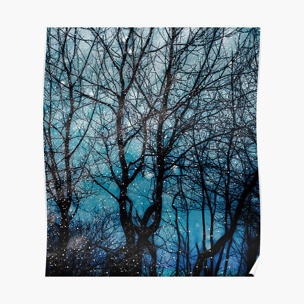 Trees at night in winter. Poster