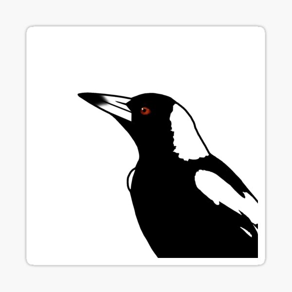 Vista previa del artículo con la obra «Primer plano de urraca australiana - Blanco», diseñado y vendido por Birds & Things.