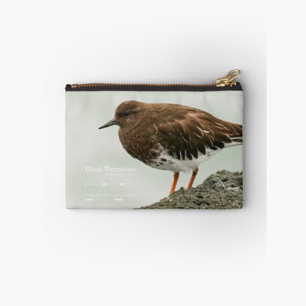 Item preview, Black Turnstone designed and sold by adjohnson.