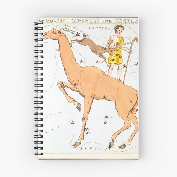 Item preview, Antique Constellation Map of Camelopardalis, Tarandus, Custos Messium designed and sold by VintageArchive.
