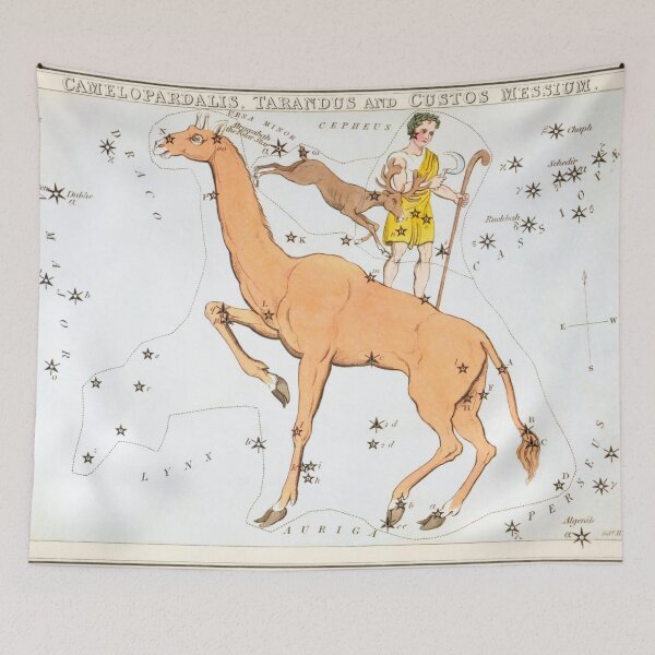 Item preview, Antique Constellation Map of Camelopardalis, Tarandus, Custos Messium designed and sold by VintageArchive.