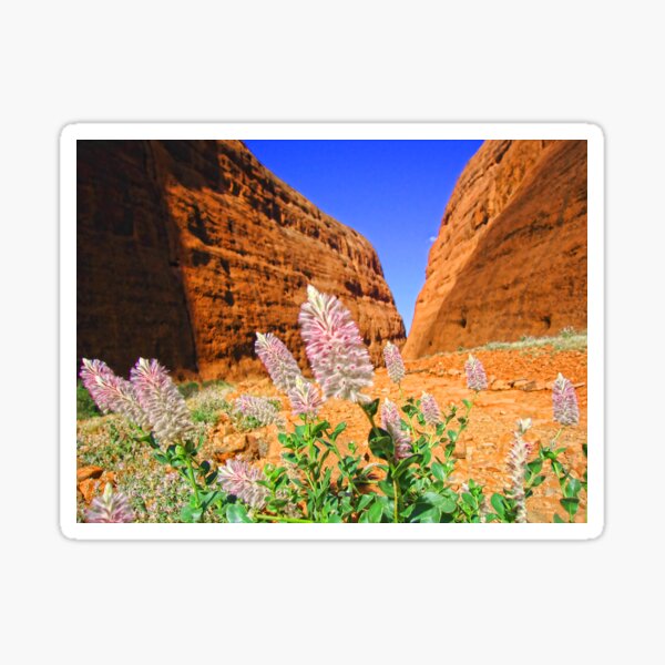 Item preview, The Olgas Gorge. Uluru-Kata Tjuta National Park. Australia designed and sold by vadim19.
