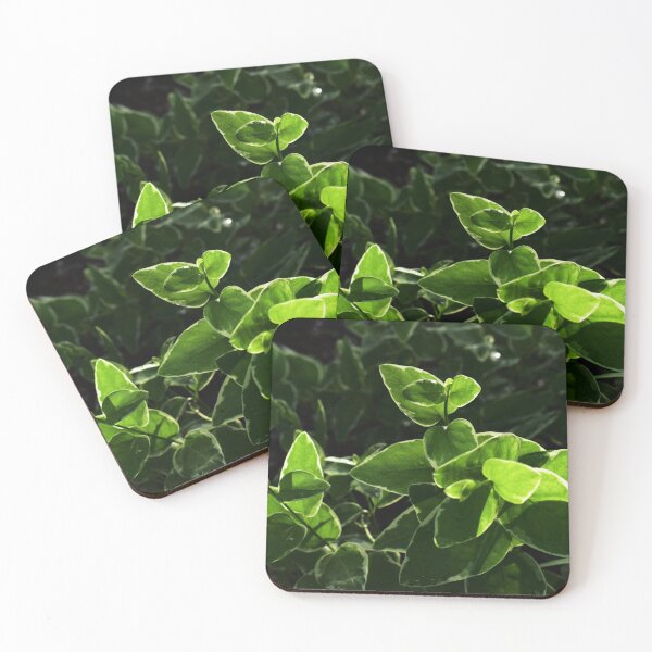 Item preview, Plant designed and sold by AbbyLedetStudio.
