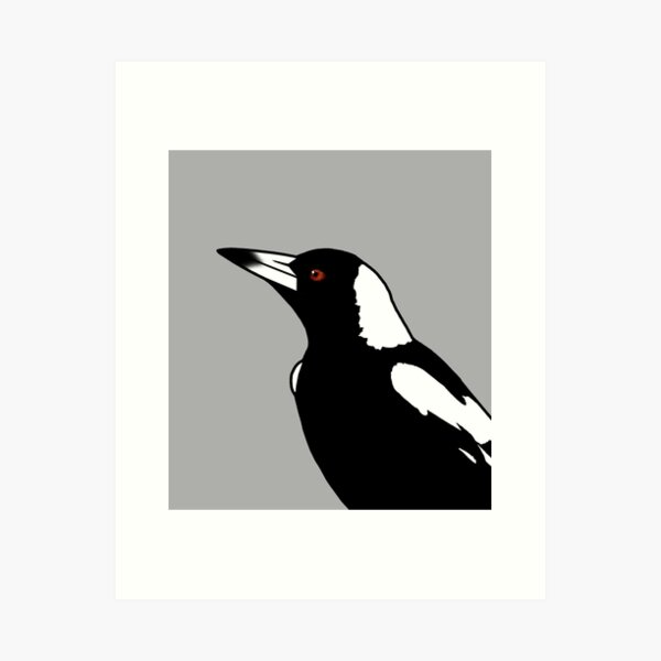 Item preview, Australian Magpie CloseUp - Grey designed and sold by Birds & Things.