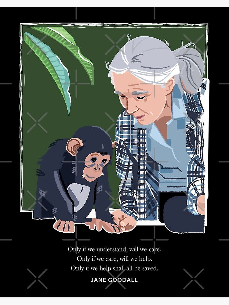 jain goodalls writings chimpanzee war