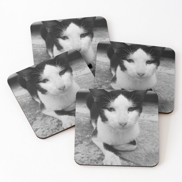Item preview, Black and white Cat designed and sold by Mark Citian.