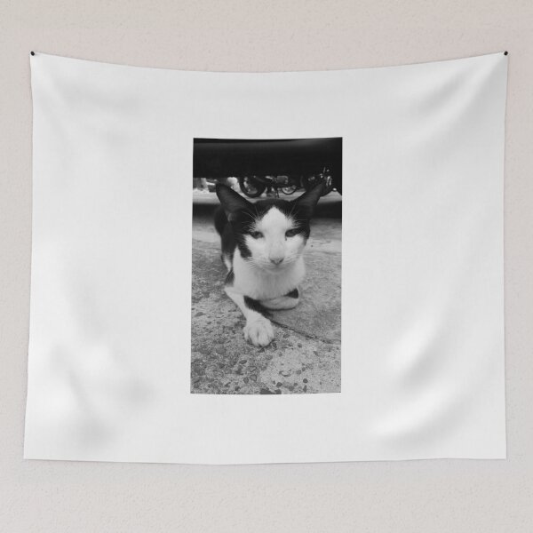 Item preview, Black and white Cat designed and sold by Mark Citian.