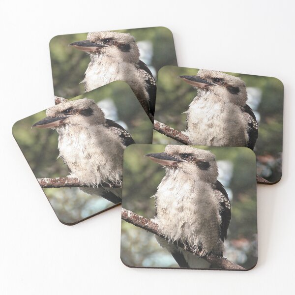 Item preview, Kookaburra Portrait  designed and sold by WendyJC.