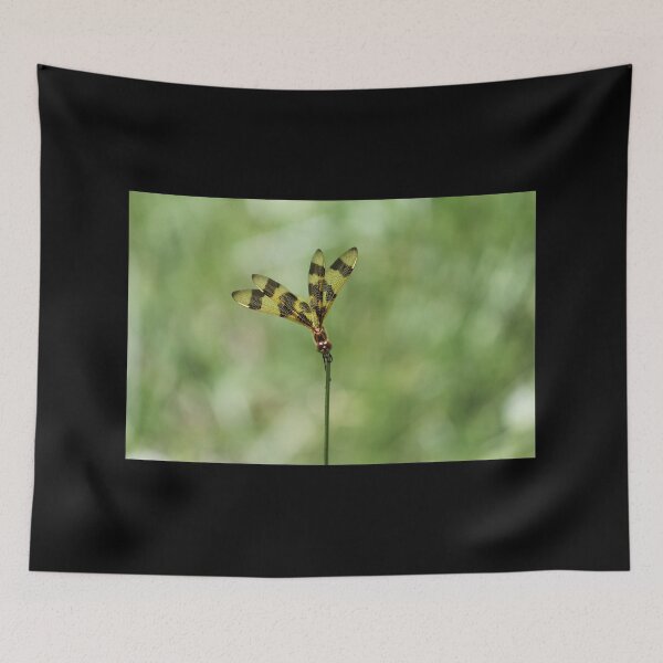 Item preview, Dragonfly Posing as a Flower designed and sold by LisaNaturePhoto.