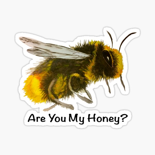 Are You My Honey? (Bee) Sticker