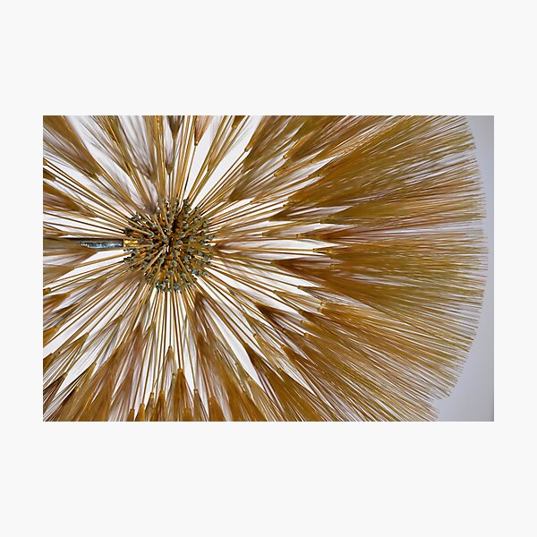 Item preview, Metal Flower at the Milwaukee Art Museum designed and sold by ritupuppala.