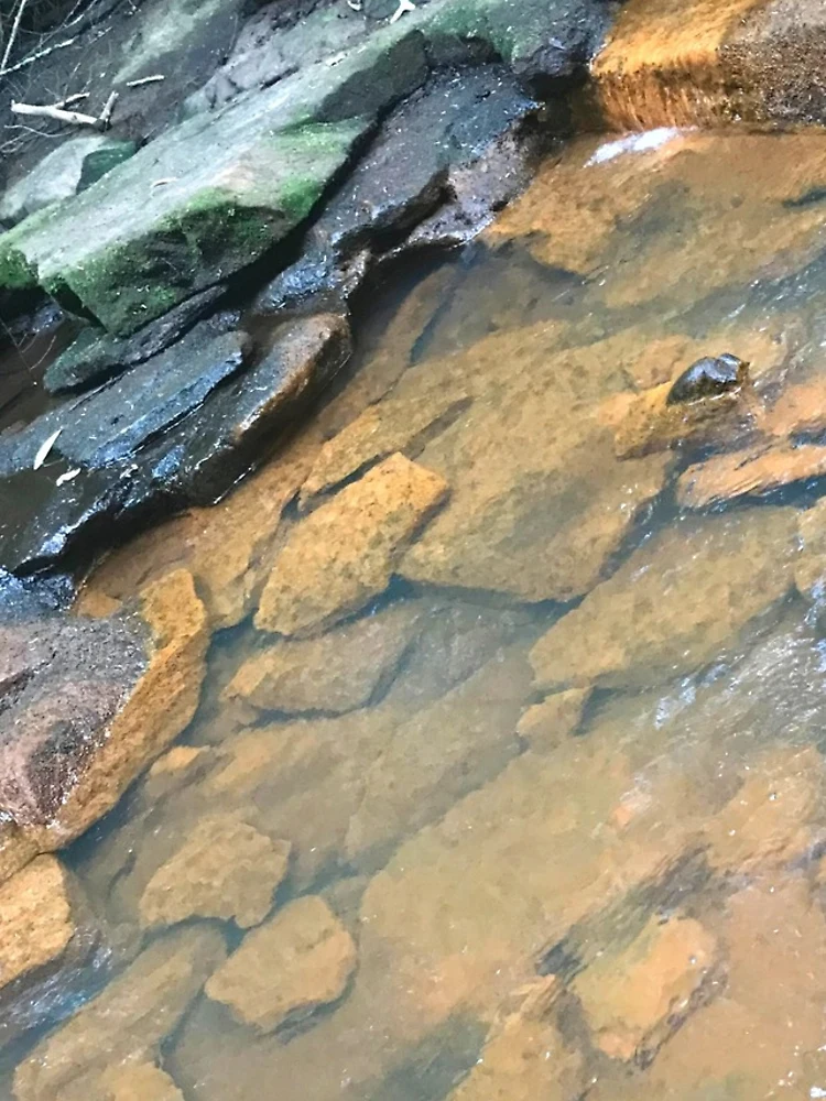 Thumbnail 4 of 4, iPhone Case, Natural Stream With Rocks designed and sold by HandsoffMyWorks.