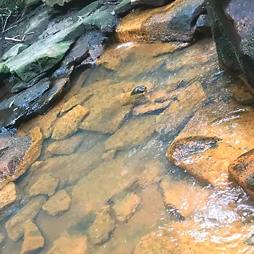 Artwork thumbnail, Natural Stream With Rocks by HandsoffMyWorks