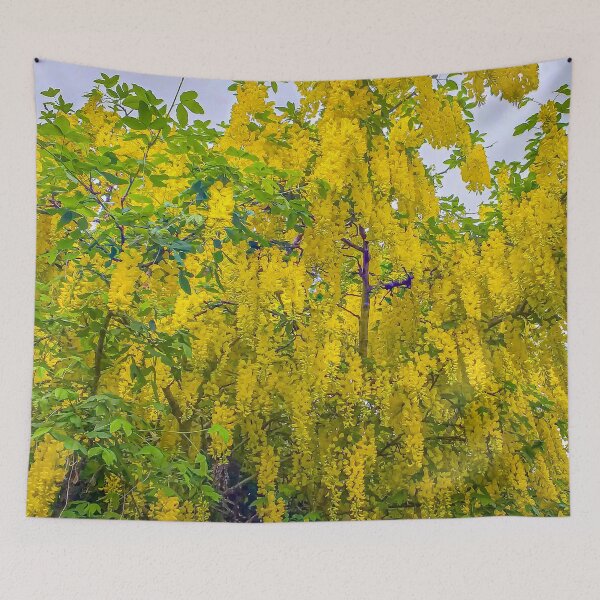 Item preview, Chinese Weeping Golden Chain Tree designed and sold by Steven Jodoin.
