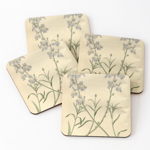 Item preview, Curtis's botanical magazine (Plate 3473) (8043234052) designed and sold by EsotericBotanic.