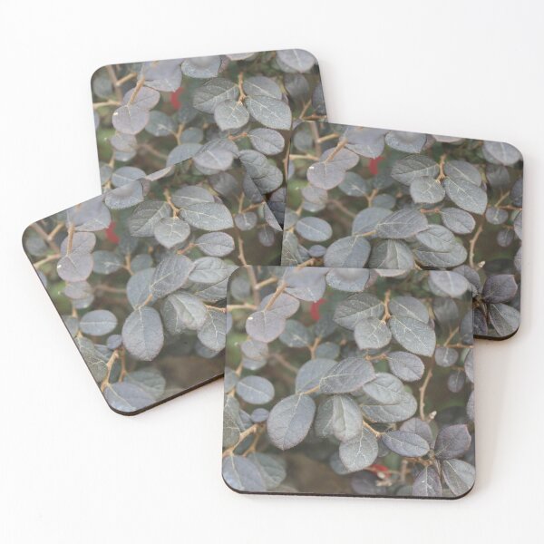 Item preview, Hedge of Grey Leaves designed and sold by Sinemathk.