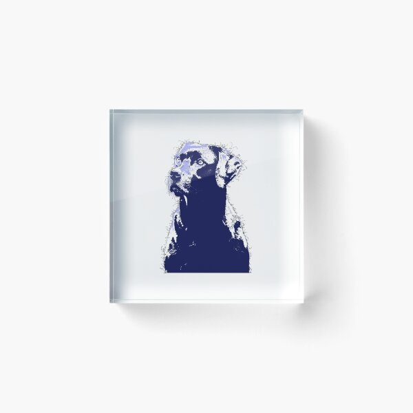 Item preview, Black Labrador in Navy designed and sold by Sherbertfizzers.