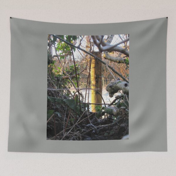 Item preview, Sun-kissed Fence Post designed and sold by lezvee.