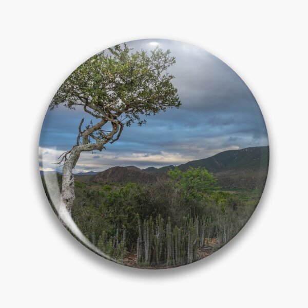 Item preview, Lonely tree designed and sold by Rudi Venter.