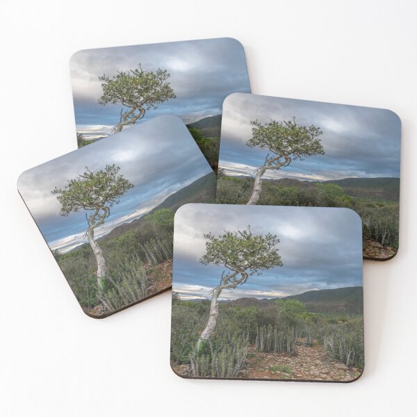 Item preview, Lonely tree designed and sold by Rudi Venter.