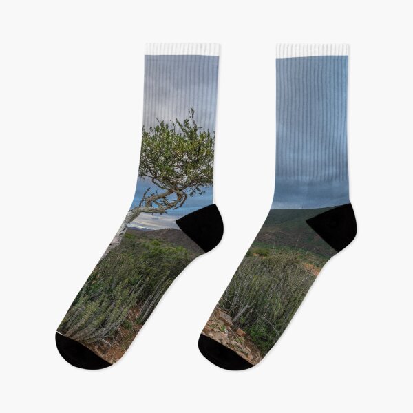 Item preview, Lonely tree designed and sold by Rudi Venter.