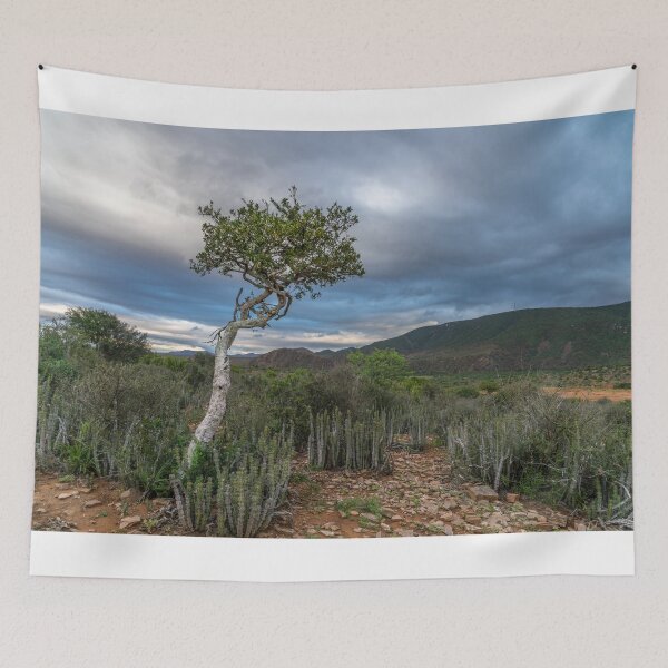 Item preview, Lonely tree designed and sold by Rudi Venter.
