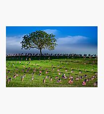 Some Gave All Photographic Print