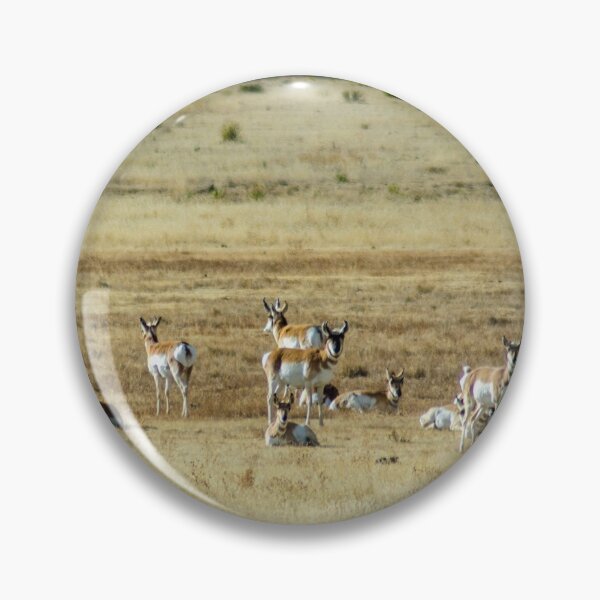 Aperçu de l'œuvre Près du troupeau d'antilopes d'Amérique créée et vendue par BoxOfGraphics.