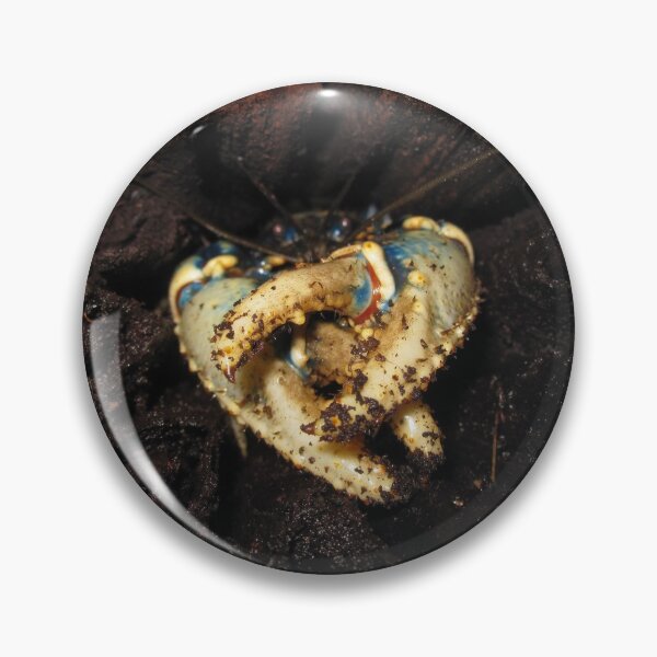 Item preview, Spiny Lamington Crayfish (Euastacus sulcatus) designed and sold by Trent Townsend.