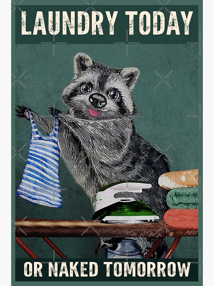 Laundry Today Or Naked Tomorrow Raccoon Lover Poster For Sale By