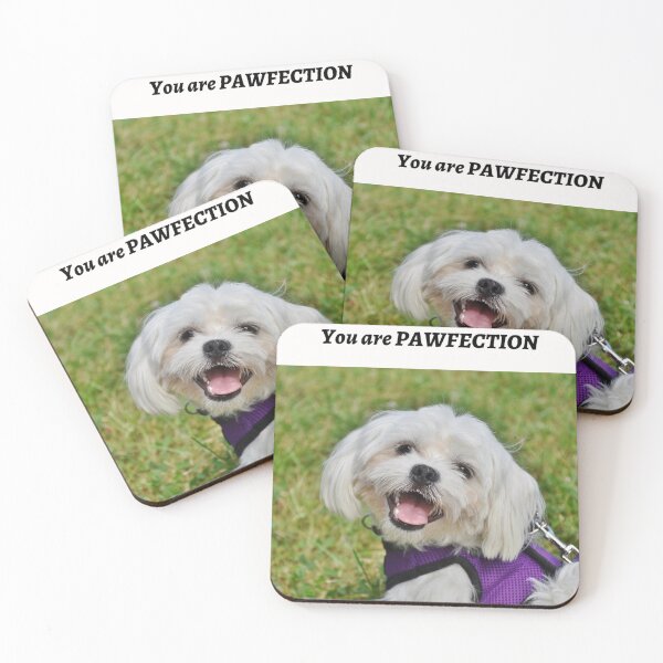 Item preview, " YOU ARE PAWFECTION " DOG DESIGN  designed and sold by findsbyjune374.