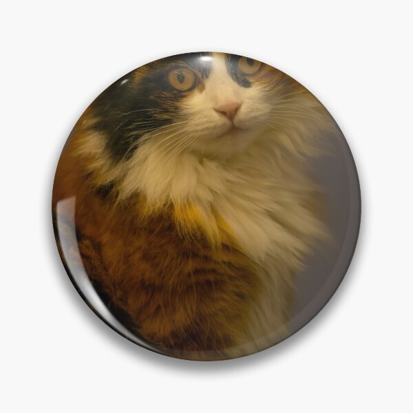 Item preview, Beautiful Cat designed and sold by Mats Silvan.