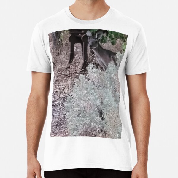 Kangaroo (hiding) Premium T-Shirt