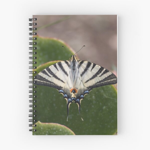 Item preview, Scarce swallowtail butterfly designed and sold by pietrofoto.
