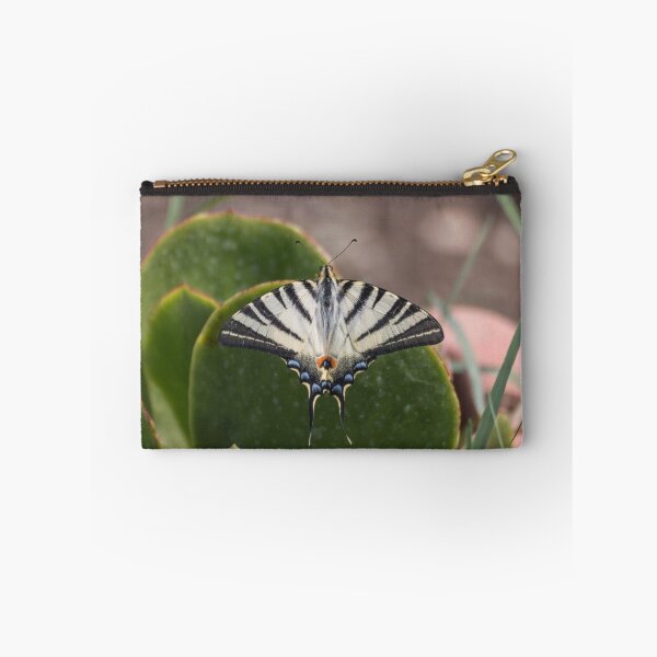 Item preview, Scarce swallowtail butterfly designed and sold by pietrofoto.