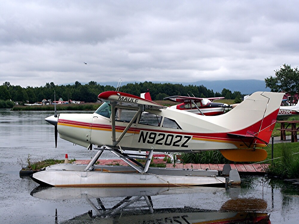 "Float plane, Lake Hood, Anchorage, Alaska, USA 12" by FranWest Redbubble