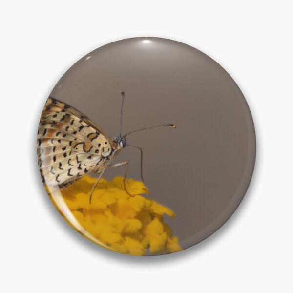 Item preview, Spotted fritillary designed and sold by pietrofoto.